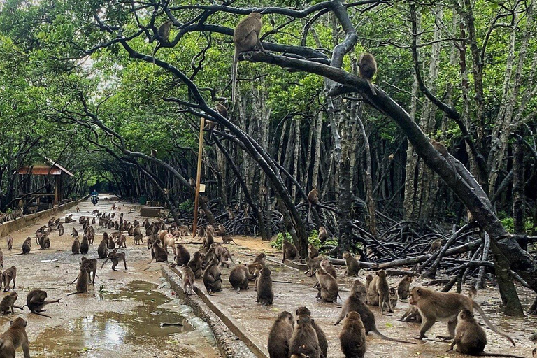 Desde Ho Chi Minh Bosque de manglares de Can Gio - Isla de los Monos