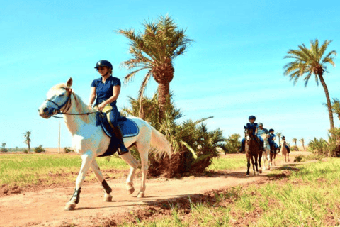 Marrakech: Tour a cavallo del deserto e della Palmeraie e trasferimentoMarrakech: tour e trasferimento a cavallo nel deserto e nella Palmeraie