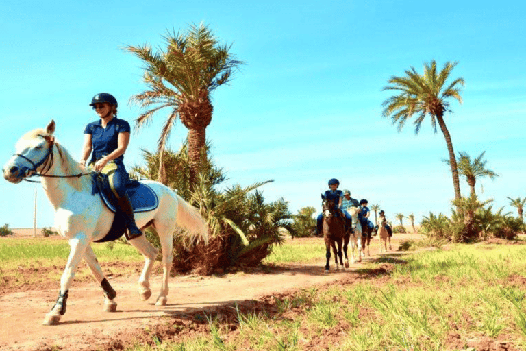 Marrakech: Tour a cavallo del deserto e della Palmeraie e trasferimentoMarrakech: tour e trasferimento a cavallo nel deserto e nella Palmeraie