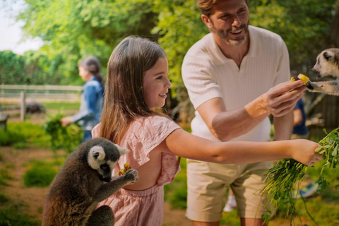 Dubai: Dubai Safari Park Entry Pass Safari Park Pass with Train and Explorer Safari Tour