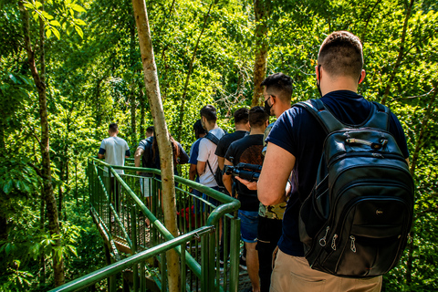 Full-Day Tour of the Falls from Brazil and Argentina, and Macuco Safari
