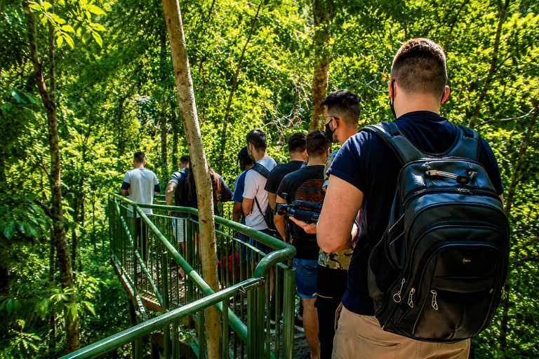 Full-Day Tour of the Falls from Brazil and Argentina, and Macuco Safari