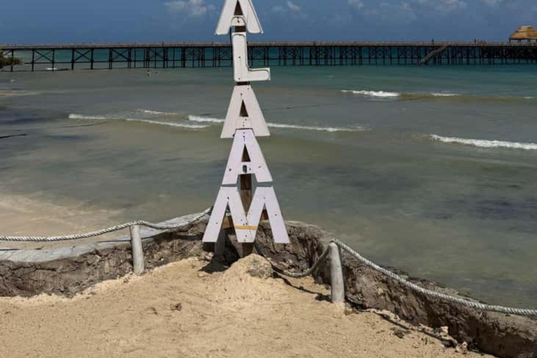 Zanzibar: Salaam Cave Turtle Swim & Dine The rock restaurant Excursions with transfer