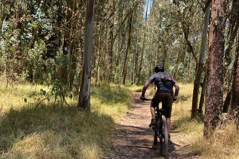 Quito: Private Cycling Tour through Metropolitan Park