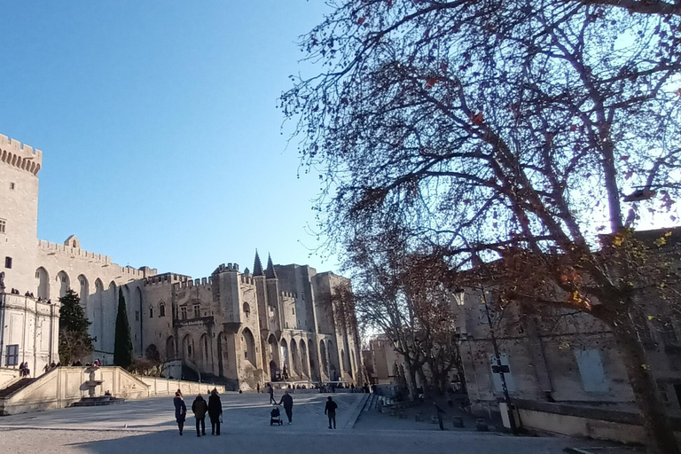 夏季之旅，4天/ 3晚，骑电动自行车探索普罗旺斯夏季之旅，4天/3夜，骑电动自行车探索普罗旺斯