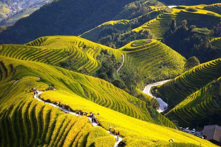 Guilin: Longji Rice Terraces and Minority Village tour