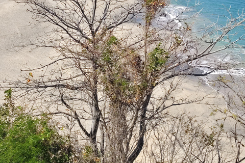 Lombok: Senaru Village, Sendang Gile &amp; Tiu Kelep watervallen