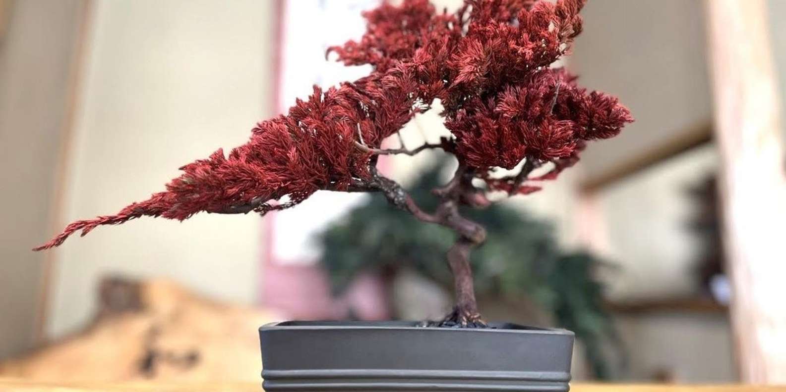 赤い人工盆栽 中型 モダン 52_9b3432eb-7775-485c-9ddc-