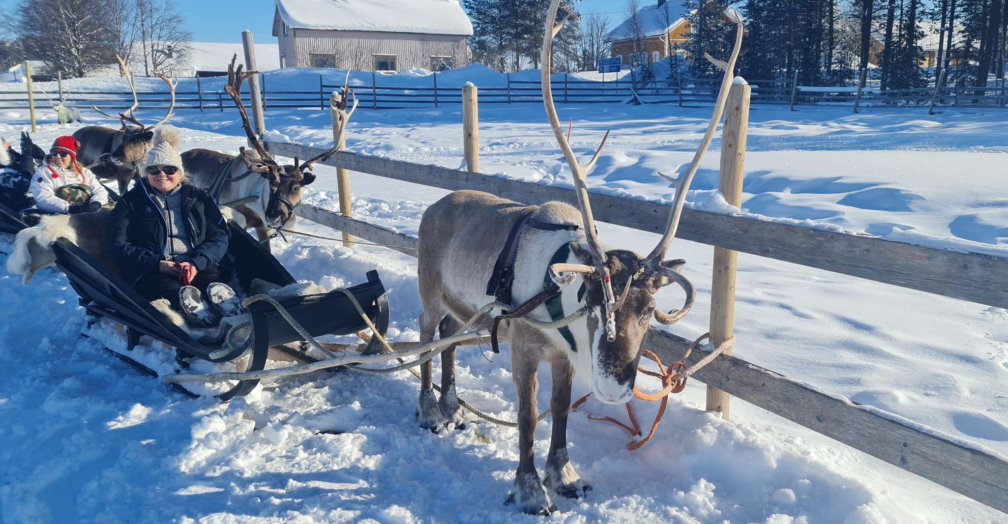 Levi, Lappish Village Experience and Reindeer Sled Ride - Housity