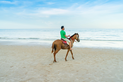 Martinique: Horseback Ride to Grand Macabou & Ocean Views