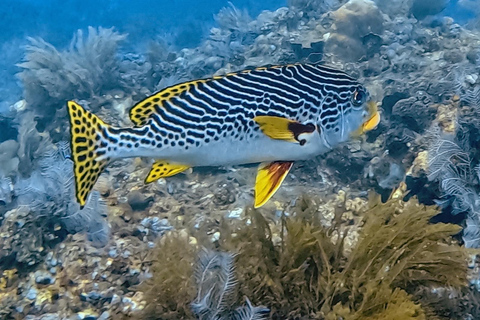 Lombok: Private Gili Islands Snorkeling Experience