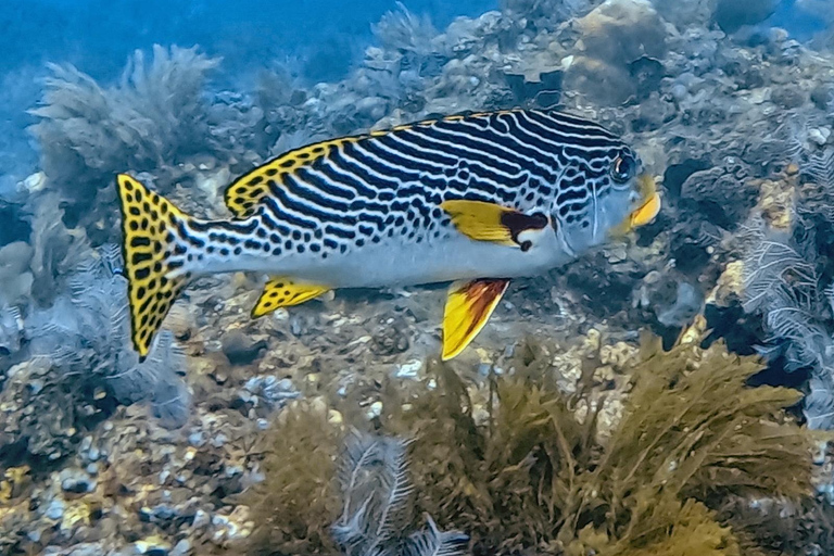 Lombok: Private Gili Islands Snorkeling Experience