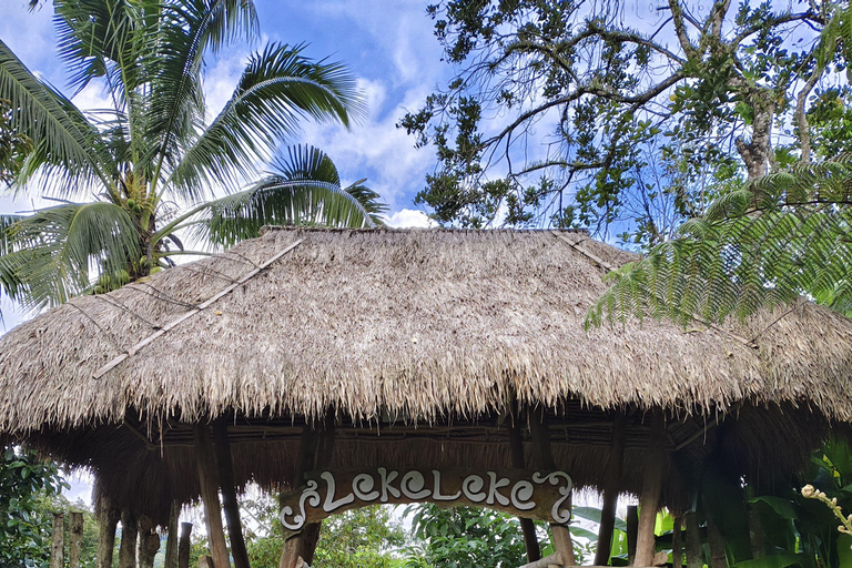 Tanah lot, tempio del lago Beratan, terrazza di riso di JatiluwihTour di Bedugul