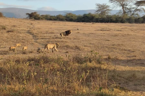 2Day Safari Tarangire and Ngorongoro Crater Join Group