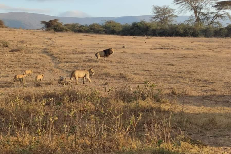 2Day Safari Tarangire and Ngorongoro Crater Join Group