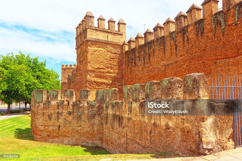 Excursion de Punta Cana à Saint-Domingue : Histoire et culture en une journéePunta Cana : Excursion : Santo Domingo avec déjeuner