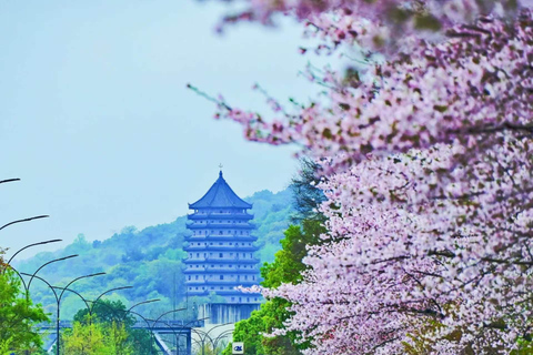 Shanghai: Hangzhou Day Trip with Tour Guide and Lunch Shanghai: Hangzhou Day Trip with tour guide and lunch