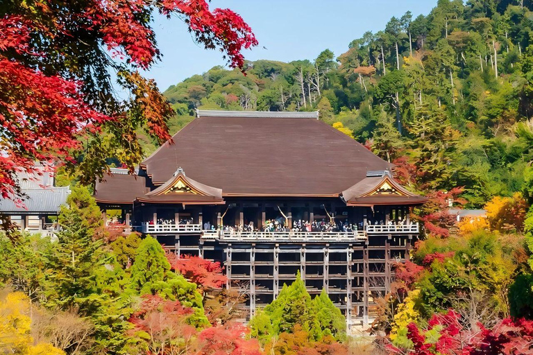 Osaka/Kyoto: Kyoto and Uji UNESCO Word Heritages Bus Tour Osaka: Kyoto and Uji UNESCO Word Heritages Bus Tour