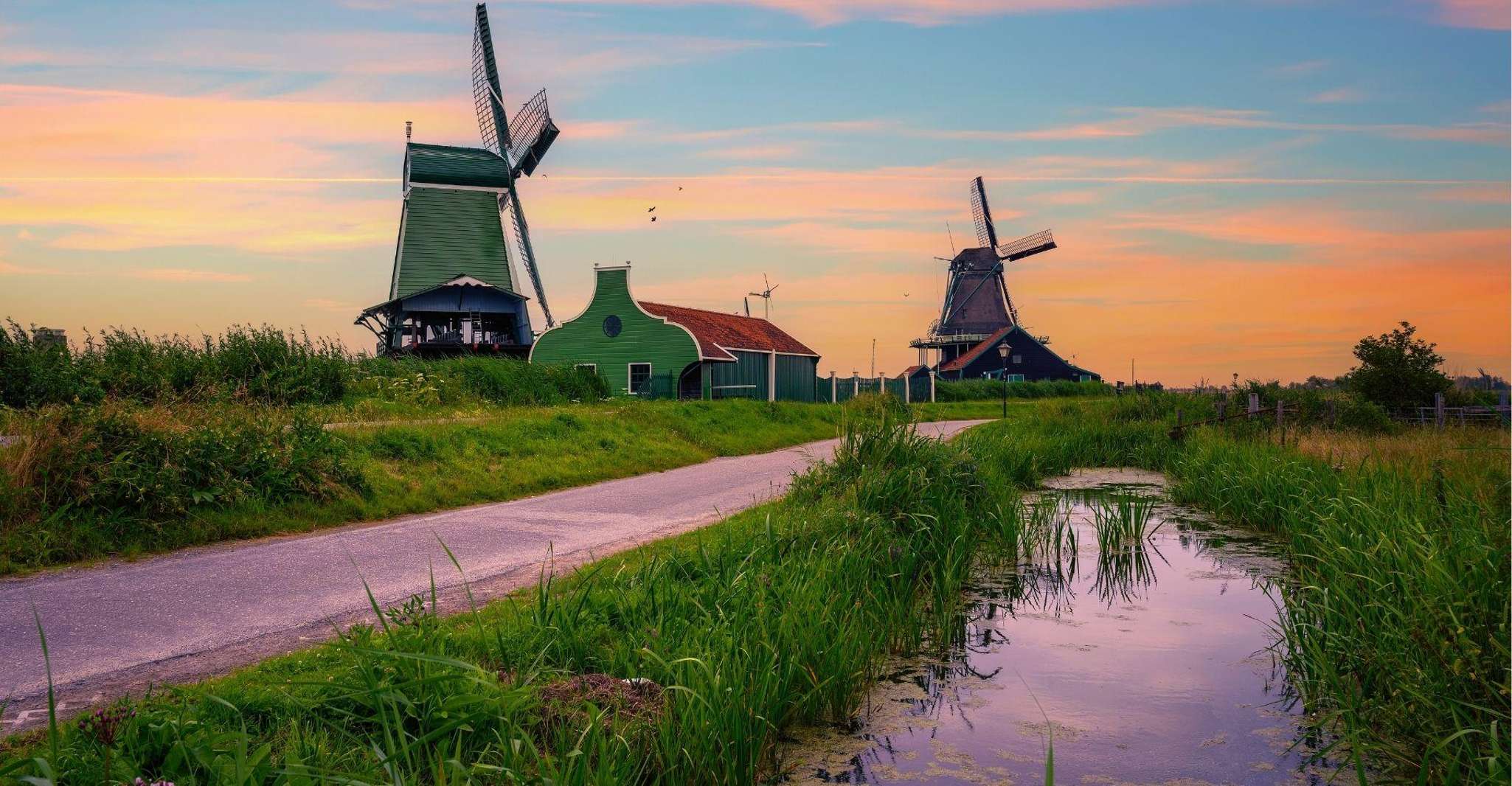From Amsterdam: Windmills of Zaanse Schans Tour photo 4