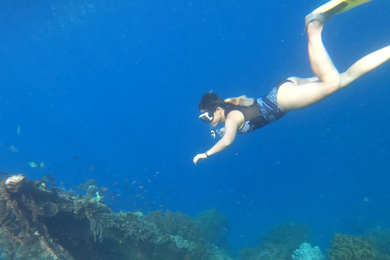 Amed: Private Traditional Boat Snorkeling Underwater Temple