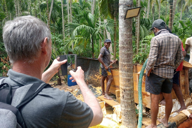 Colombo: Rathnapura Gem Mining Tour with Lunch