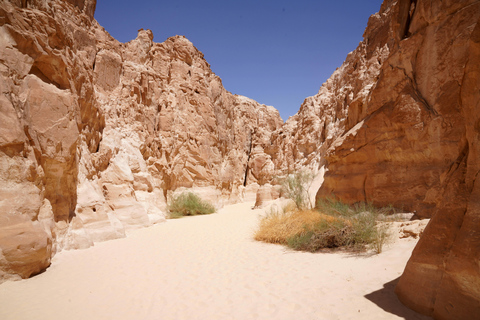 04 Days Swakopmund and Sossusvlei Guided Tour