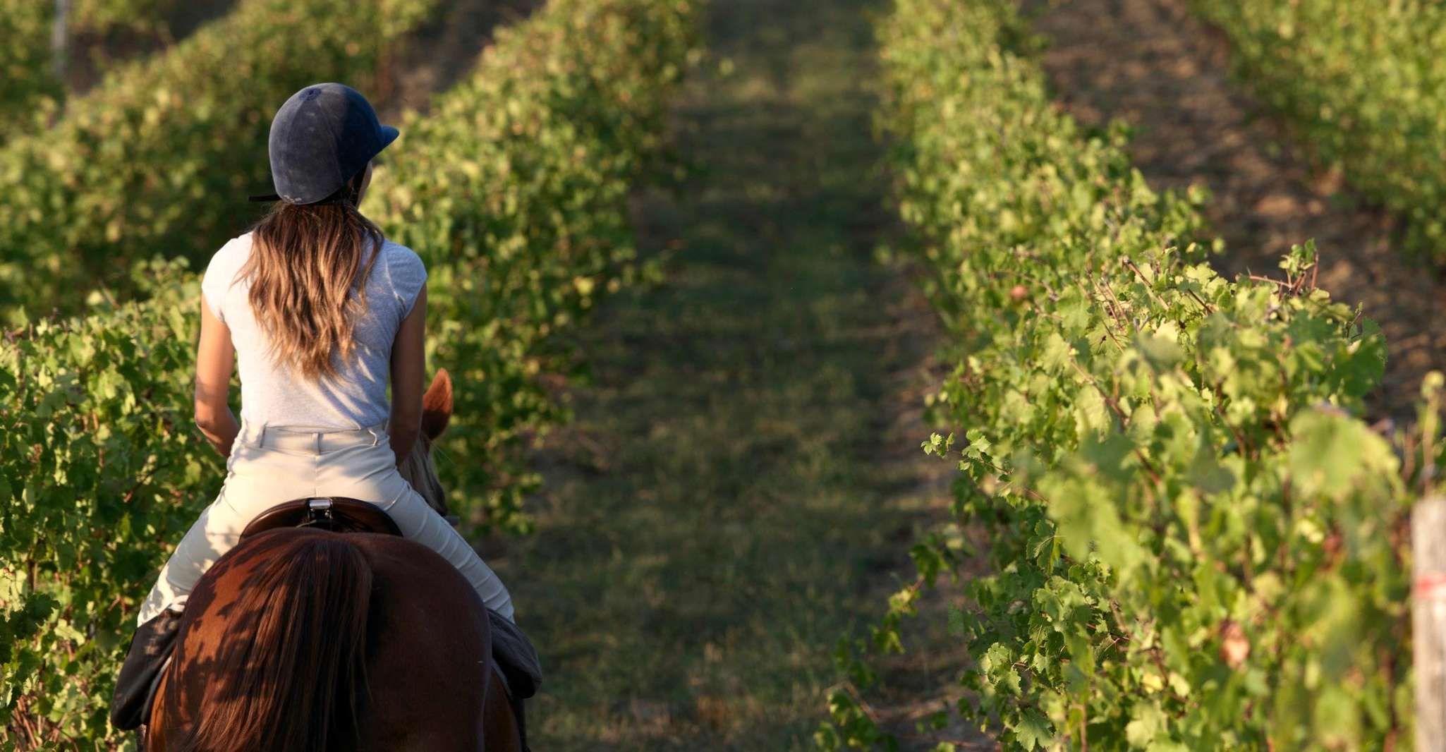 Siena, Horseback Adventure in the Tuscan Countryside - Housity