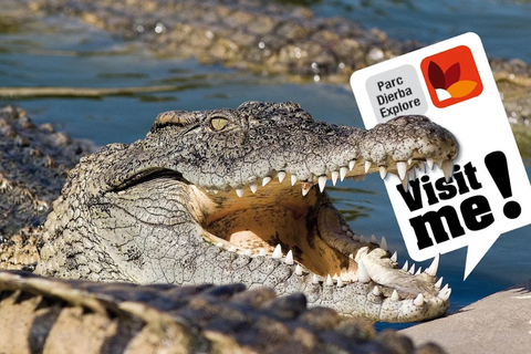 Djerba: Djerba Explore Experience with Crocodiles and Lella Hadhria Museum