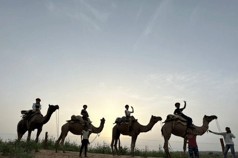 Nachtelijke kamelentocht in de woestijn van Jodhpur