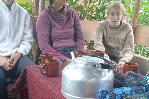 莫西：马特鲁尼瀑布、咖啡之旅与传统午餐