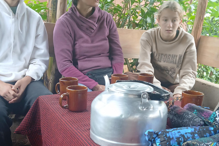 莫西：马特鲁尼瀑布、咖啡之旅与传统午餐