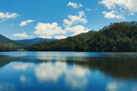 Kochi: 3-Day Kerala Tour with Munnar and Alleppey Cruise