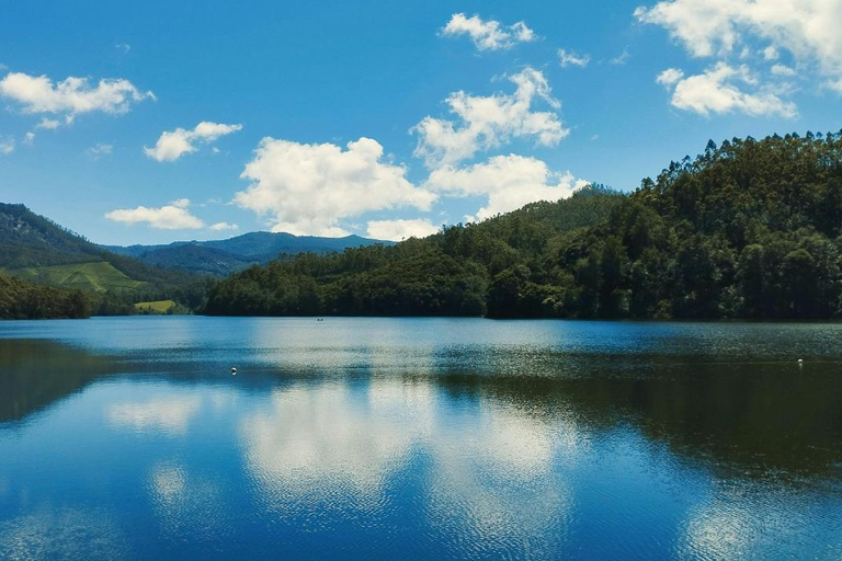 Kochi: 3-Day Kerala Tour with Munnar and Alleppey Cruise