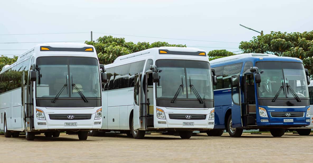 Afbeelding 9 van Vesuvius-tour met ticket met voorrangstoegang vanuit Napels