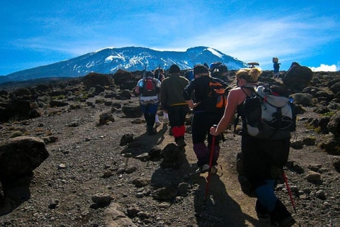 Kilimanjaro: Escalada de 6 días por la ruta Marangu con aclimataciónPor defecto