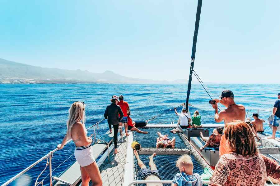 Teneriffa: Delfin- und Wal-Öko-Tour mit Snacks und Getränken
