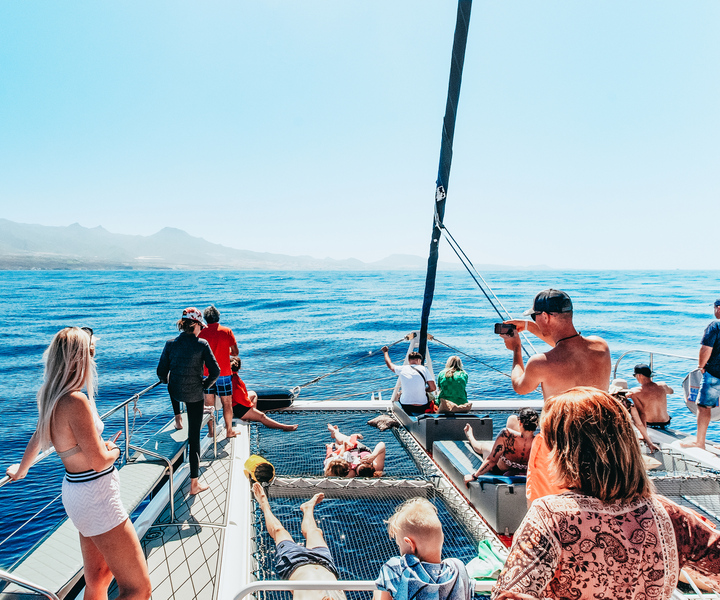 Tenerife: Dolphin and Whale Eco-Cruise with Snack & Drinks