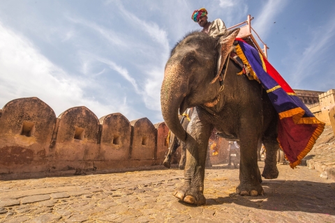Jaipur: Private Full Day Jaipur Guided Tour with Transfers