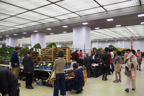 The 44th Japan Bonsai Taikan Exhibition Admission Ticket