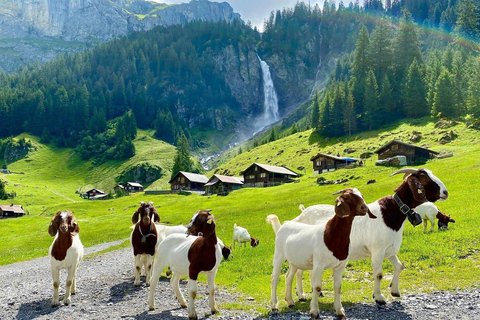 From Interlaken: Swiss Alps and Hidden Gems Private Day Tour