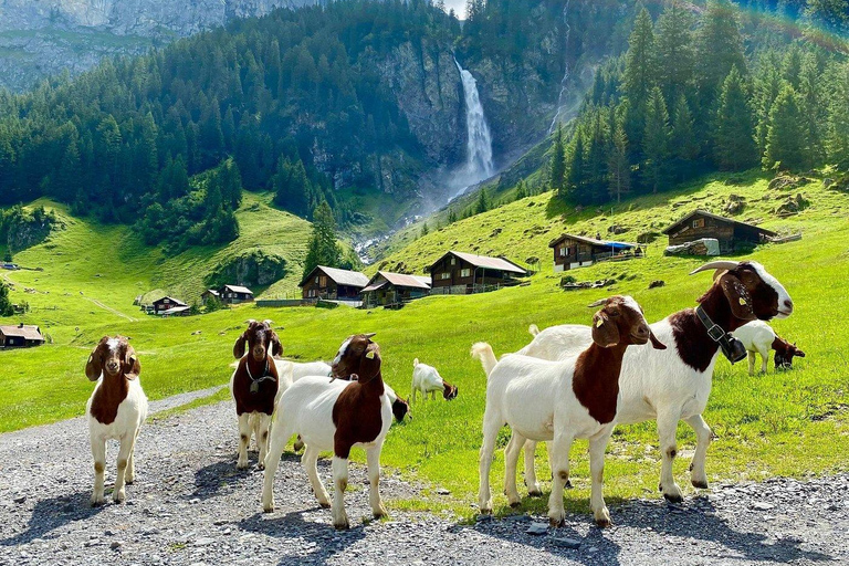 From Interlaken: Swiss Alps and Hidden Gems Private Day Tour