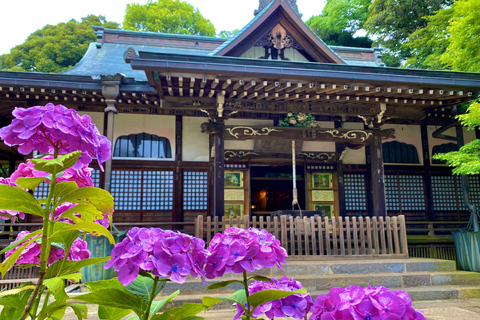 From Tokyo: Nikko World Heritage Sight Full Day Private Tour