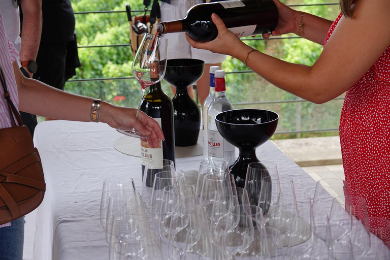 St. Emilion: Excursão de meio dia de E-Bike &amp; Wine Tour com Vinho e Queijo