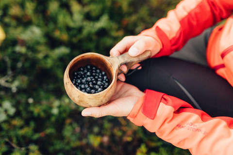 Saariselkä: excursión a los tesoros del bosque con almuerzo al aire libreSaariselkä: Excursión a los tesoros del bosque con almuerzo al aire libre