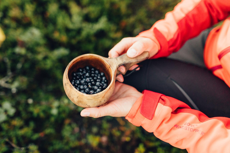 Saariselkä: excursión a los tesoros del bosque con almuerzo al aire libreSaariselkä: Excursión a los tesoros del bosque con almuerzo al aire libre
