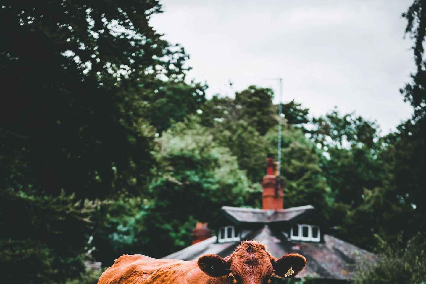 "A Day as a Farmer" Experience