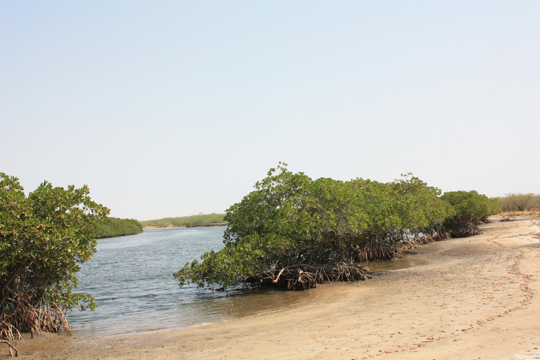Saloum Delta: 3 days of adventure in the middle of nature, camping on a desert island Saloum Delta: Camping and Adventure
