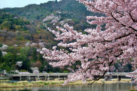 Kyoto: Arashiyama UNESCO Walking Tour with Admission
