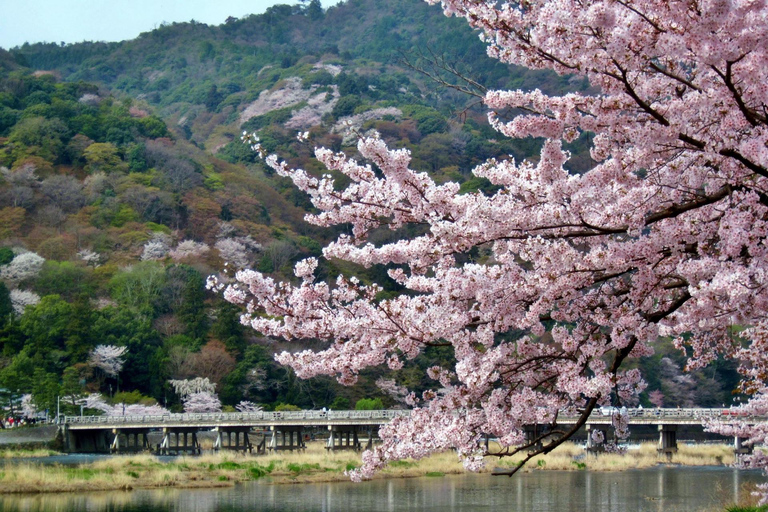 Kyoto: Arashiyama UNESCO Walking Tour with Admission