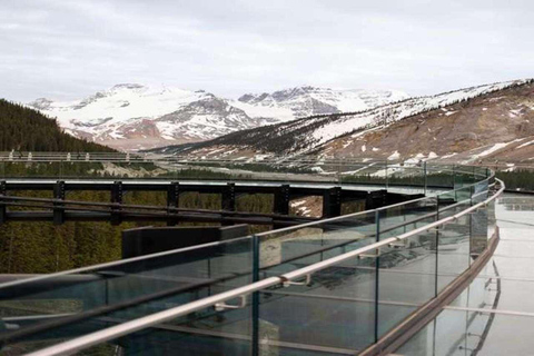 Columbia Icefield, Skywalk, Crowfoot Glacier, Stunning Lakes